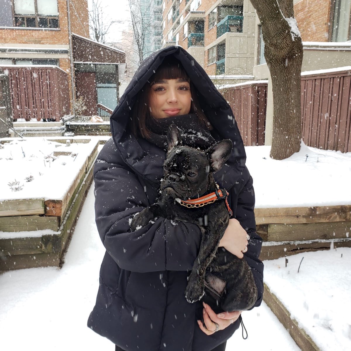 Alexa Klein in a big winter coat holding her french bulldog on a snowy winter day in Toronto